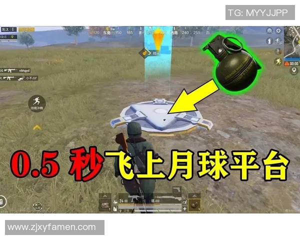 和平精英V5版本深度解析与反击策略全面揭秘