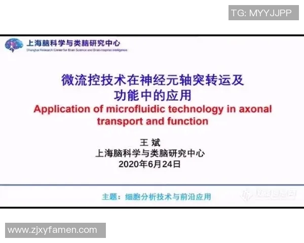 飞盘专题:深入分析上海飞盘队员的个人技能与战术素养 飞盘专题:深入分析上海飞盘队员的个人技能与战术素养