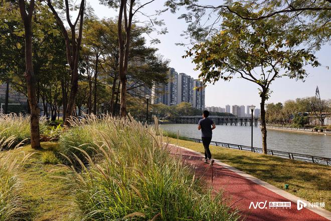 乐鱼·体育官方网站荔湾碧道建立迈入20时期：“生态廊道”晋级“绿美糊口”(图6)